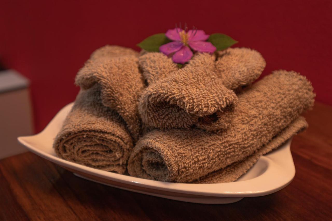 Hotel Boutique The Green Jungle House Puerto Viejo de Talamanca 外观 照片