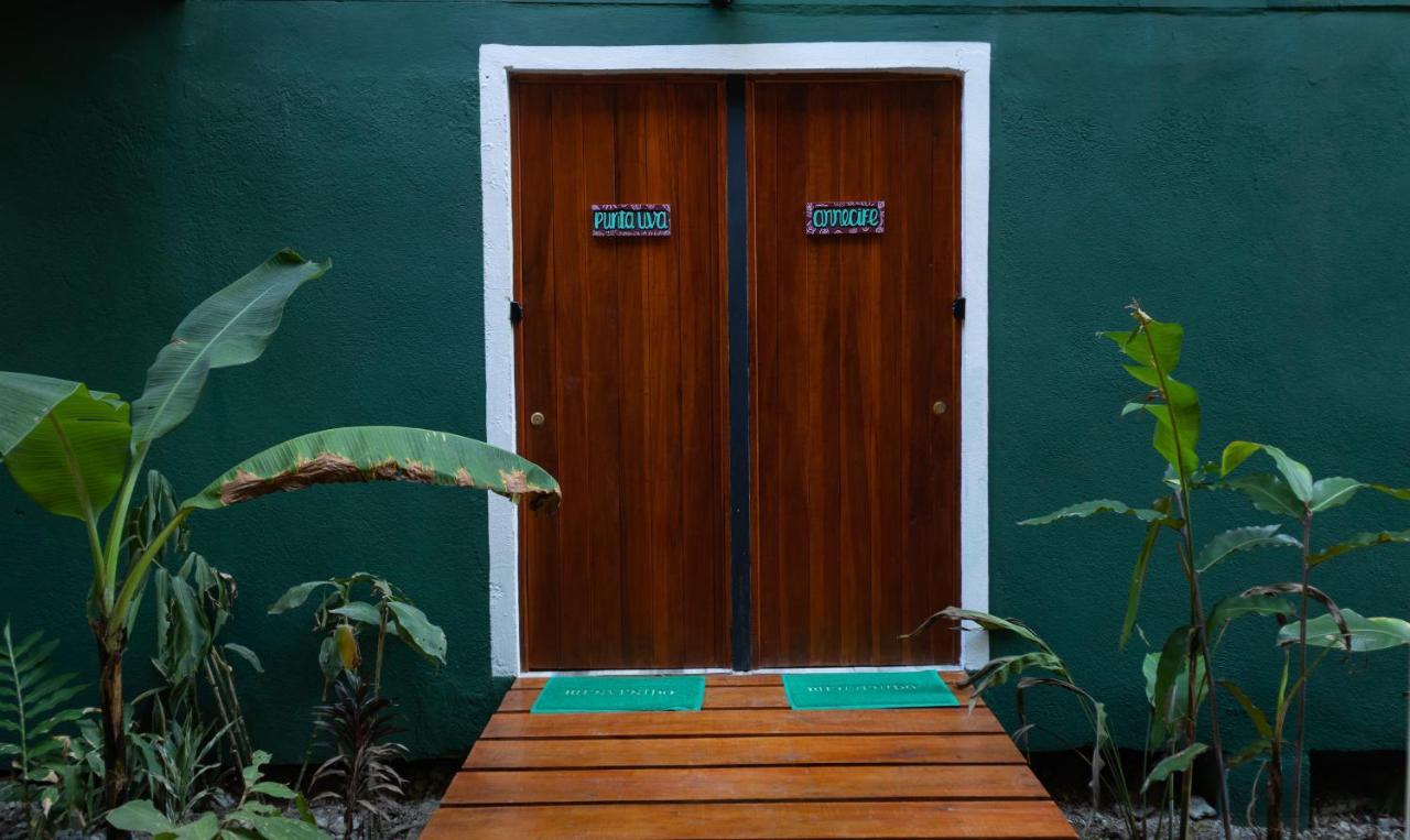 Hotel Boutique The Green Jungle House Puerto Viejo de Talamanca 外观 照片