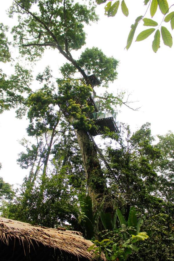 Hotel Boutique The Green Jungle House Puerto Viejo de Talamanca 外观 照片