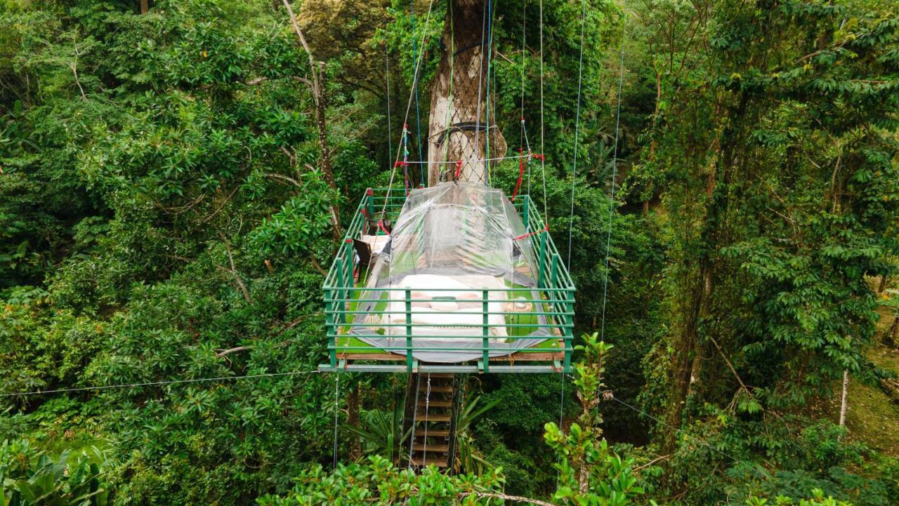 Hotel Boutique The Green Jungle House Puerto Viejo de Talamanca 外观 照片