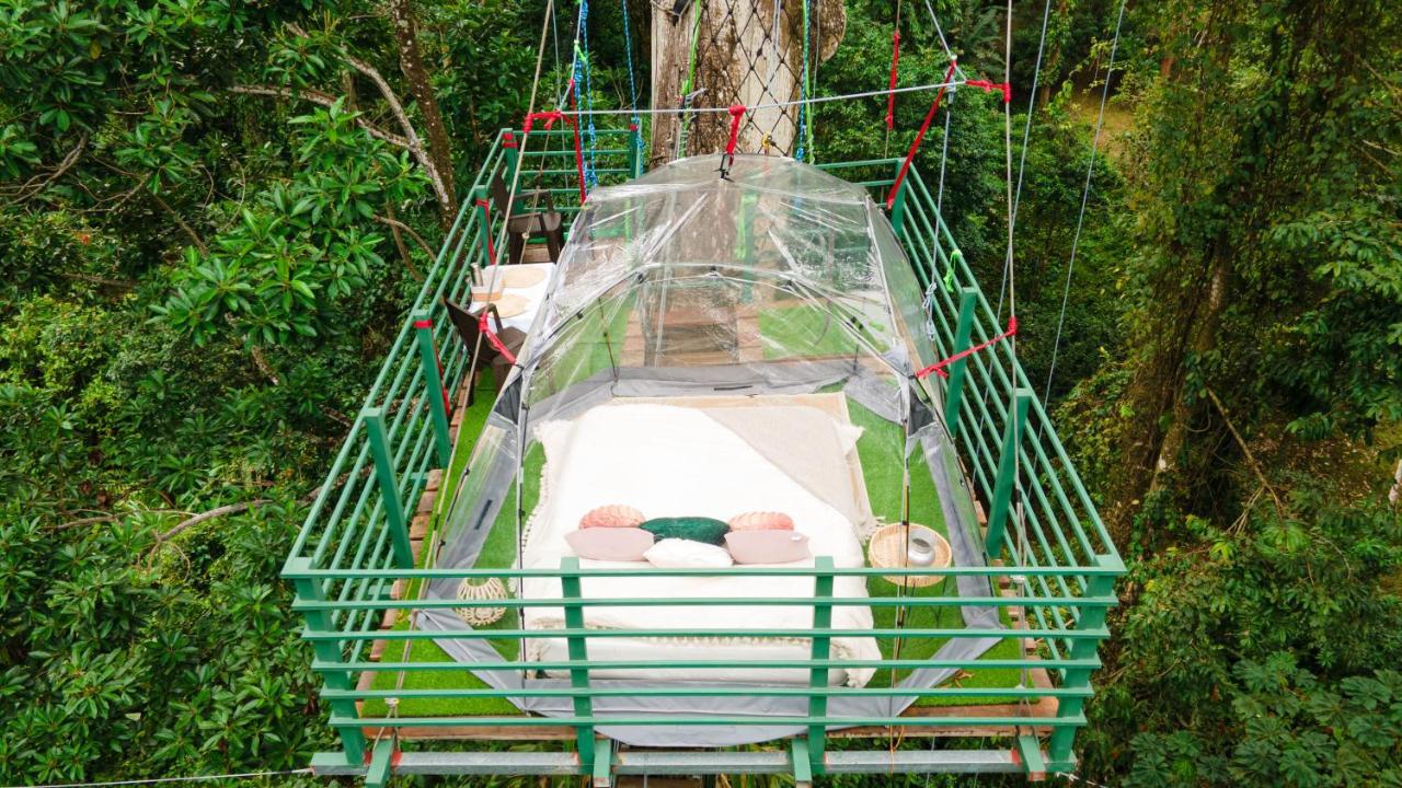 Hotel Boutique The Green Jungle House Puerto Viejo de Talamanca 外观 照片