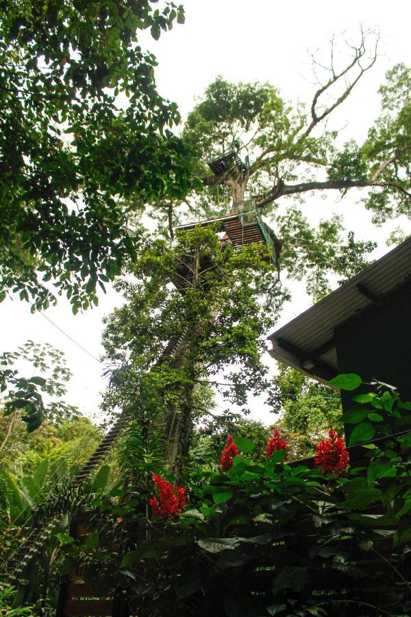 Hotel Boutique The Green Jungle House Puerto Viejo de Talamanca 外观 照片