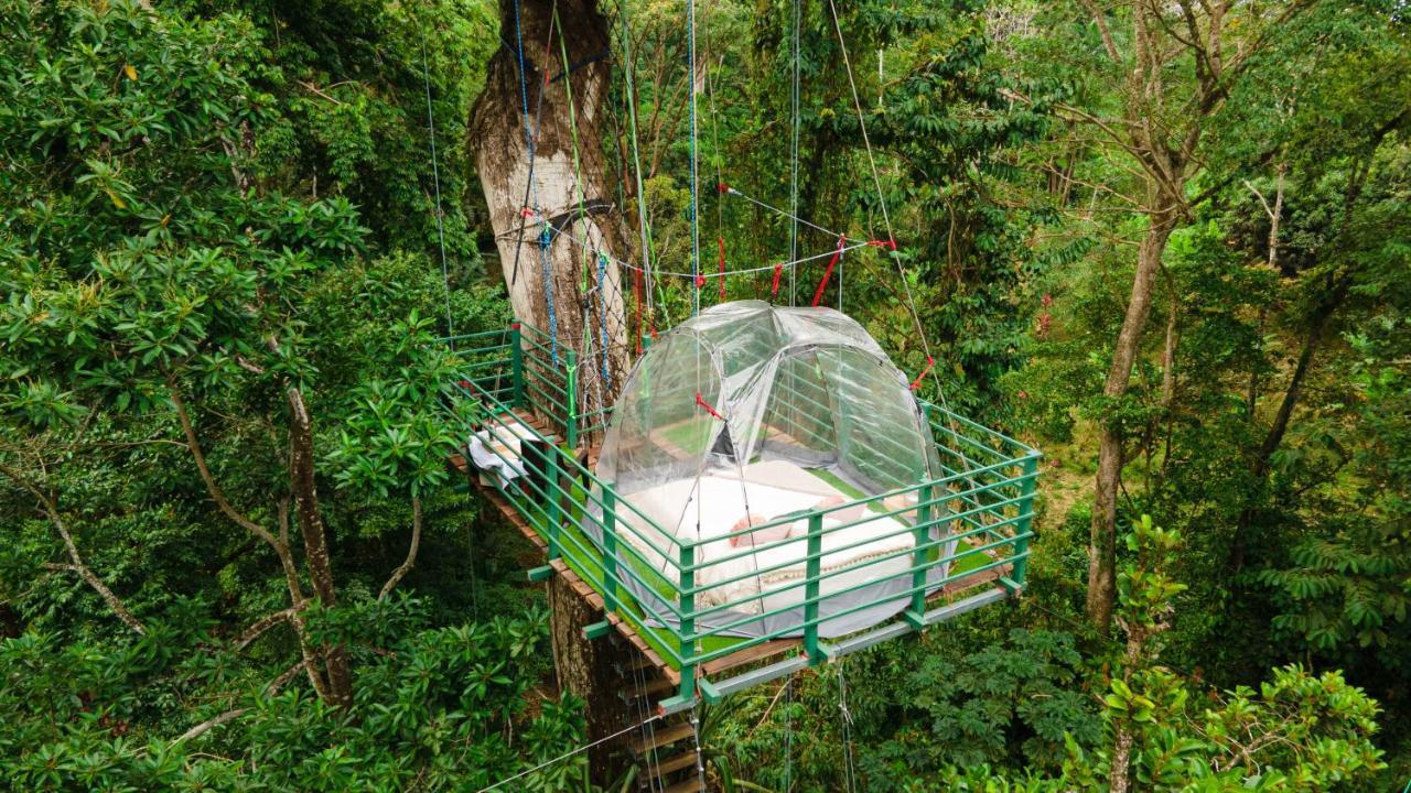 Hotel Boutique The Green Jungle House Puerto Viejo de Talamanca 外观 照片