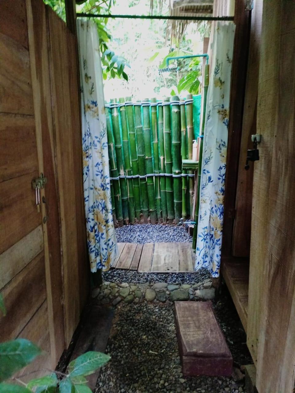 Hotel Boutique The Green Jungle House Puerto Viejo de Talamanca 外观 照片
