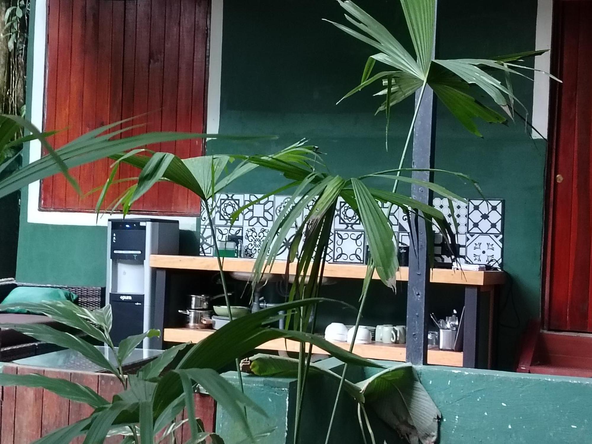Hotel Boutique The Green Jungle House Puerto Viejo de Talamanca 外观 照片